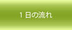 1日の流れ